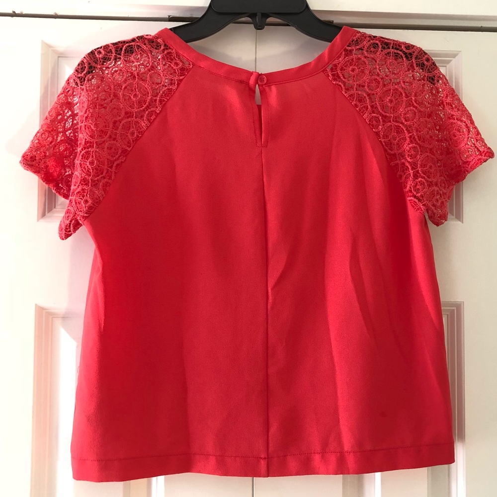 ⭐️ Elodie Lace Sleeve Top - Picture 2 of 3